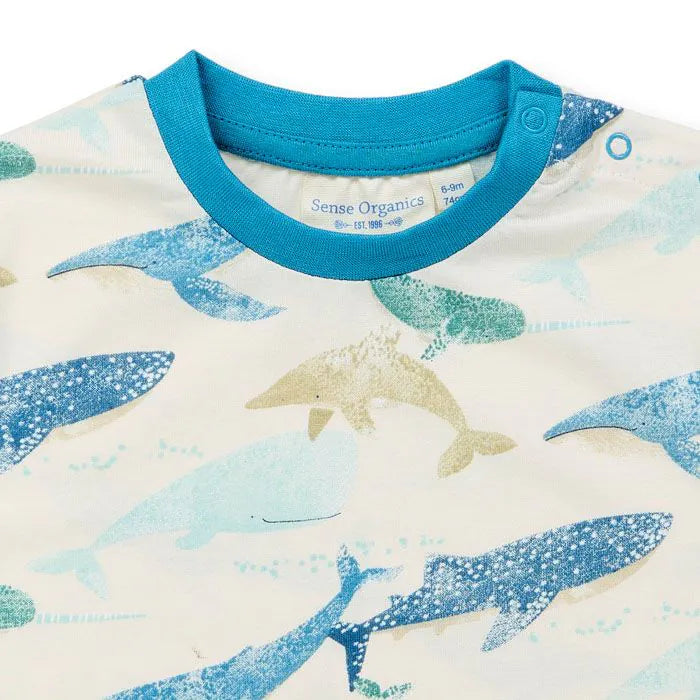 Baby T-Shirt mit Walen, Modell ANTON