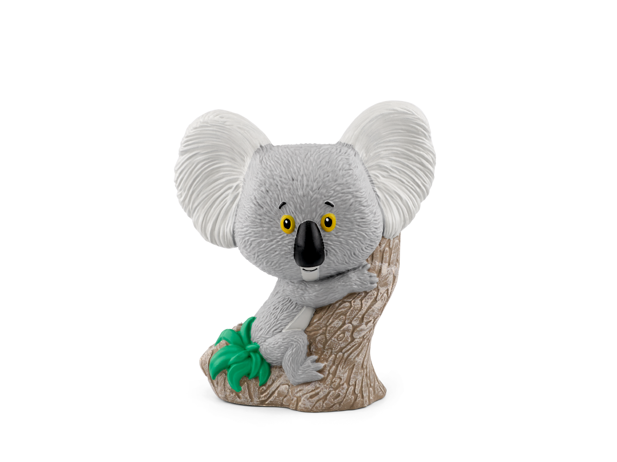 Rachel Bright - Trau dich Koala Bär
