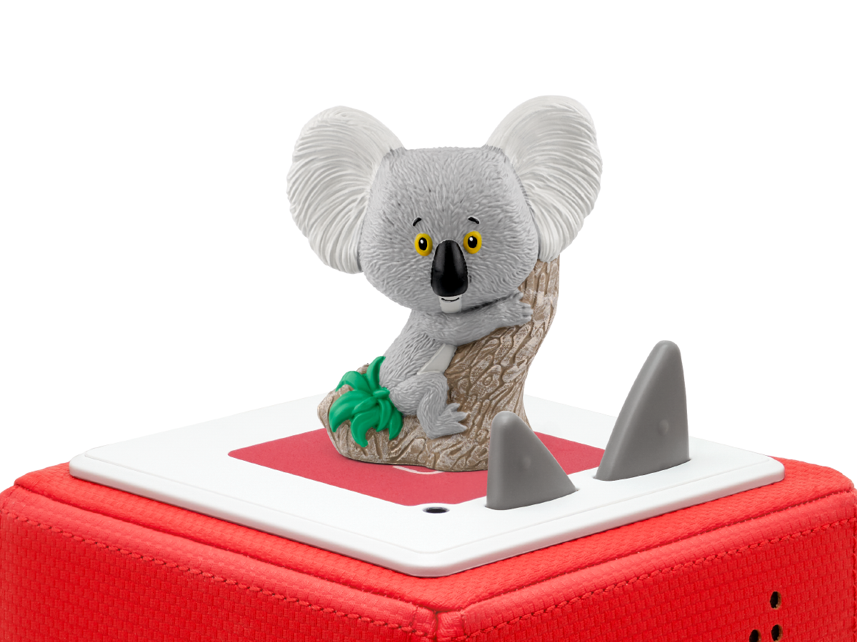 Rachel Bright - Trau dich Koala Bär