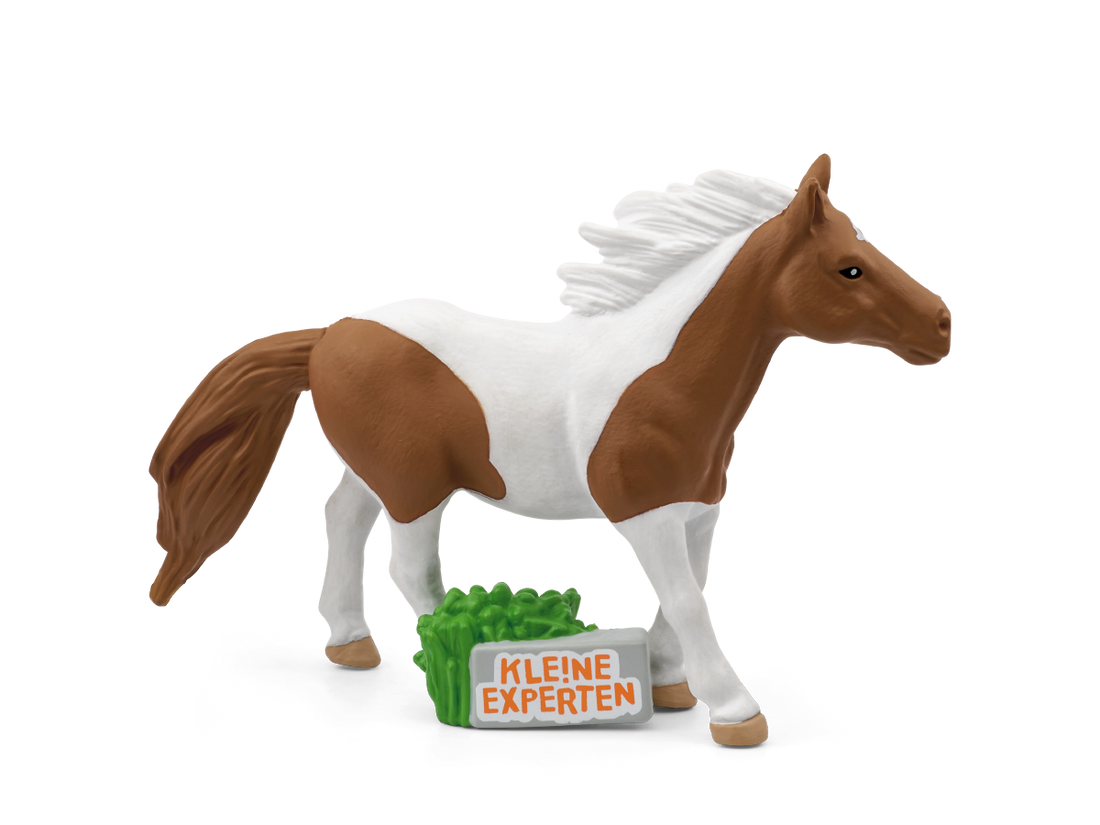 KLE!NE EXPERTEN ... galoppieren mit Pferden