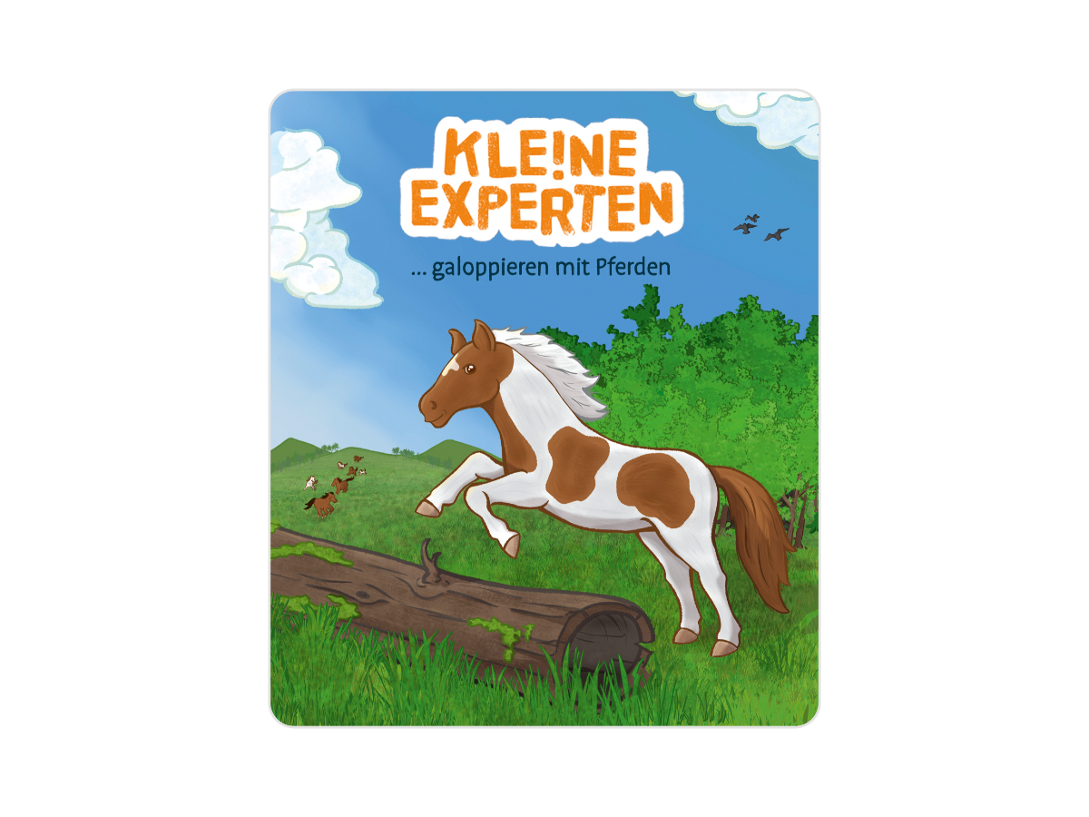 KLE!NE EXPERTEN ... galoppieren mit Pferden