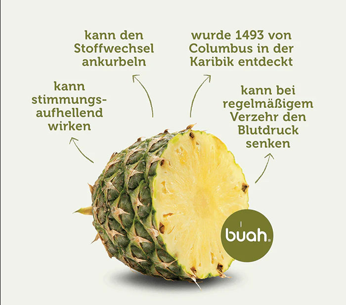 BIO Ananas pur