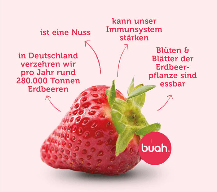BIO Erdbeere pur