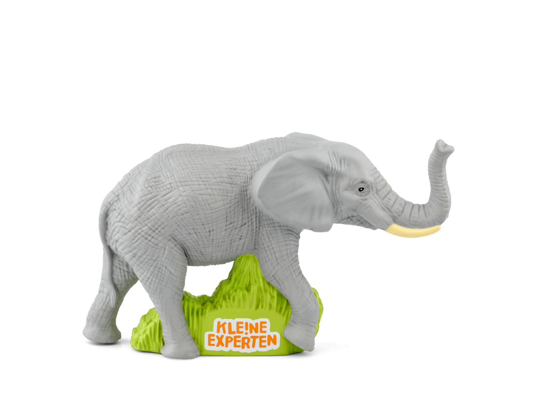 KLE!NE EXPERTEN ...begleiten Elefanten
