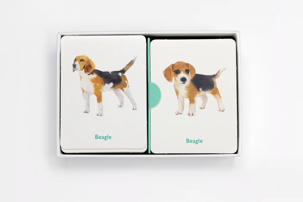 Hunde und ihre Welpen - Memo-Spiel