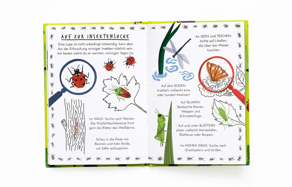 Hallo Insekten - Ein kleiner Naturführer