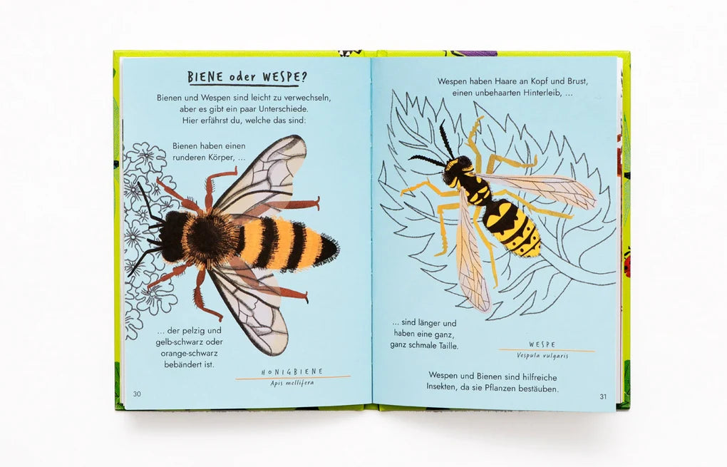 Hallo Insekten - Ein kleiner Naturführer