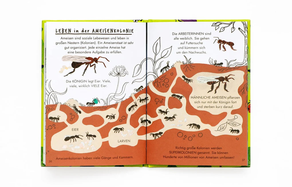 Hallo Insekten - Ein kleiner Naturführer