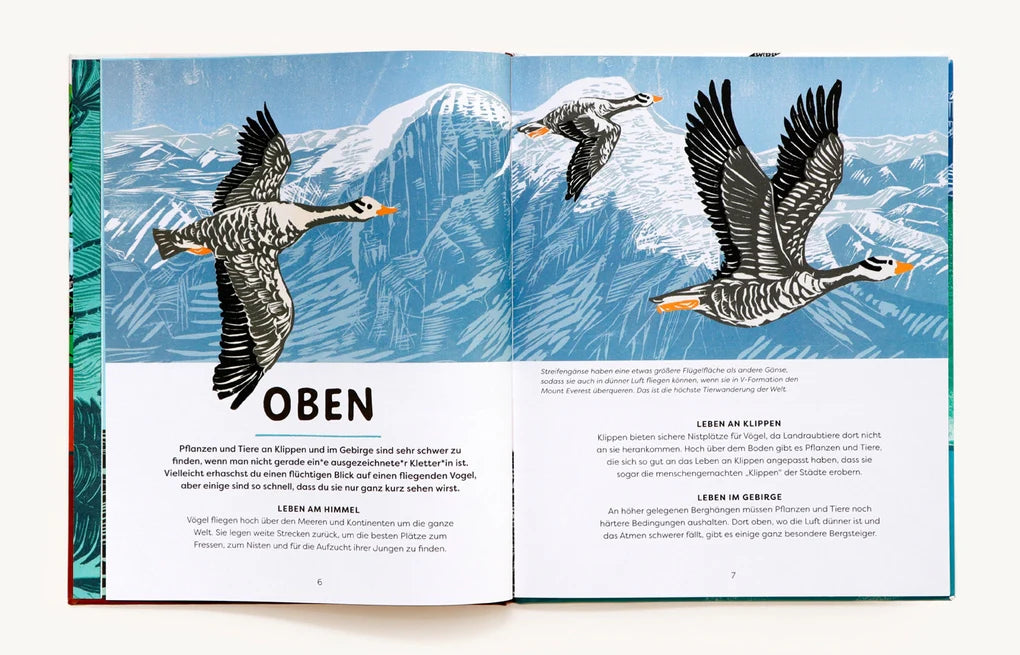 Oben, unten und lange her - Tiere, Pflanzen und Fossilien an entlegenen Orten