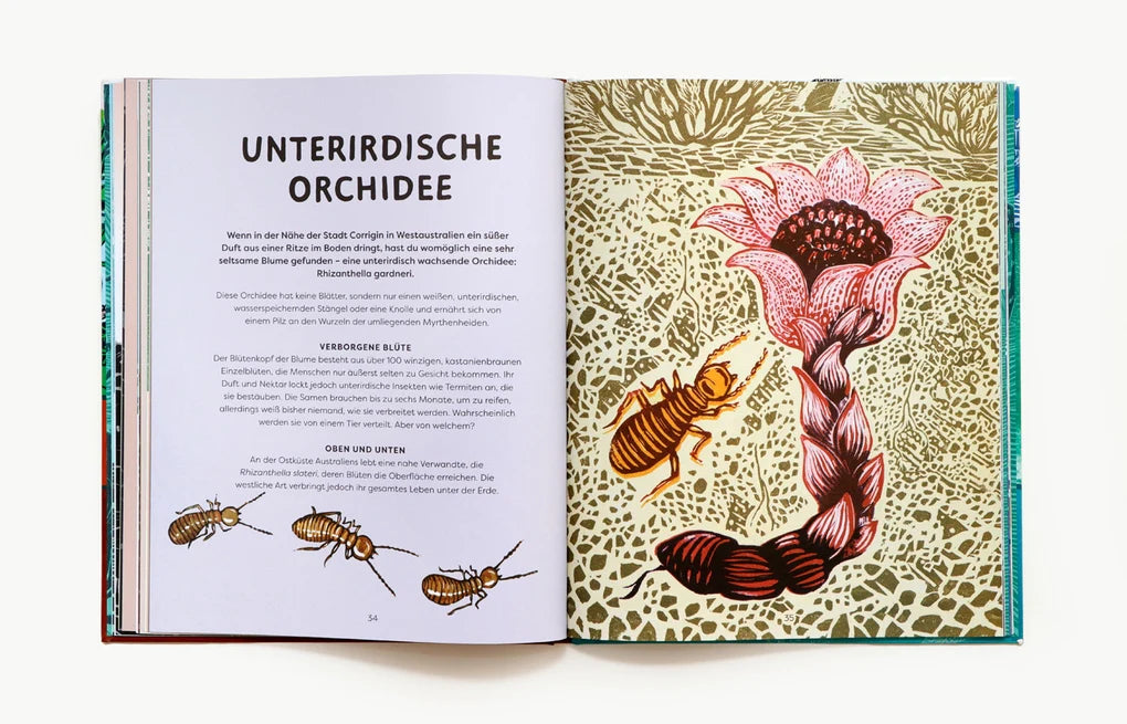 Oben, unten und lange her - Tiere, Pflanzen und Fossilien an entlegenen Orten