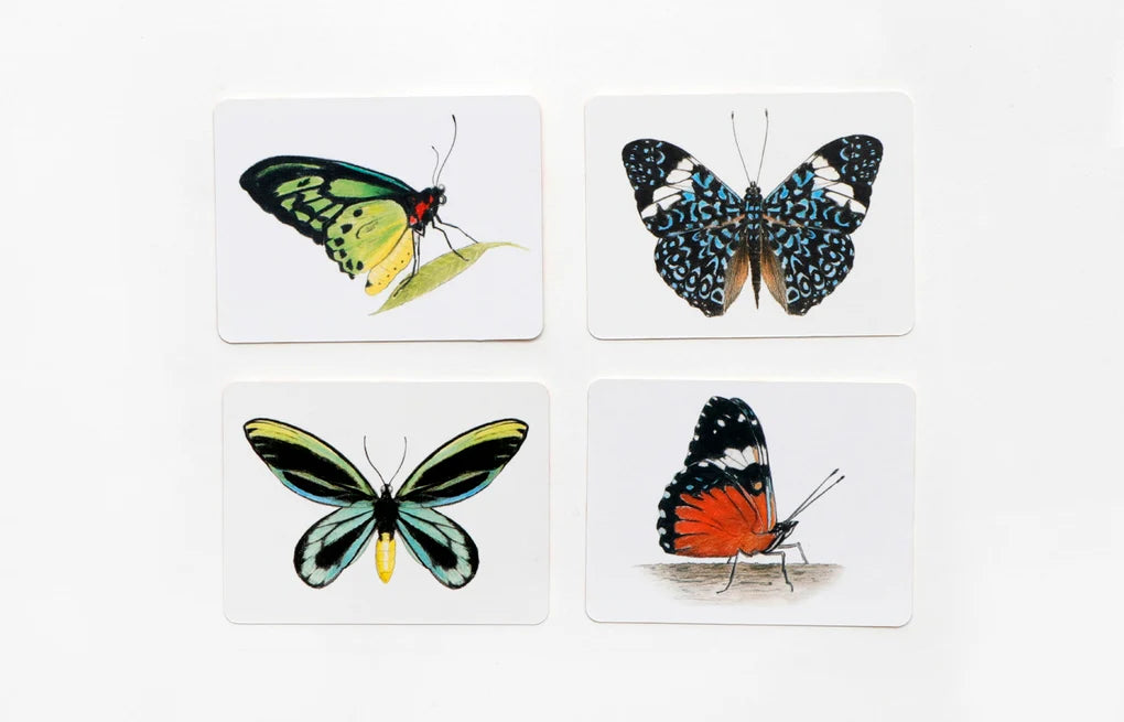 Schmetterlinge und ihre Flügel - Memo-Spiel