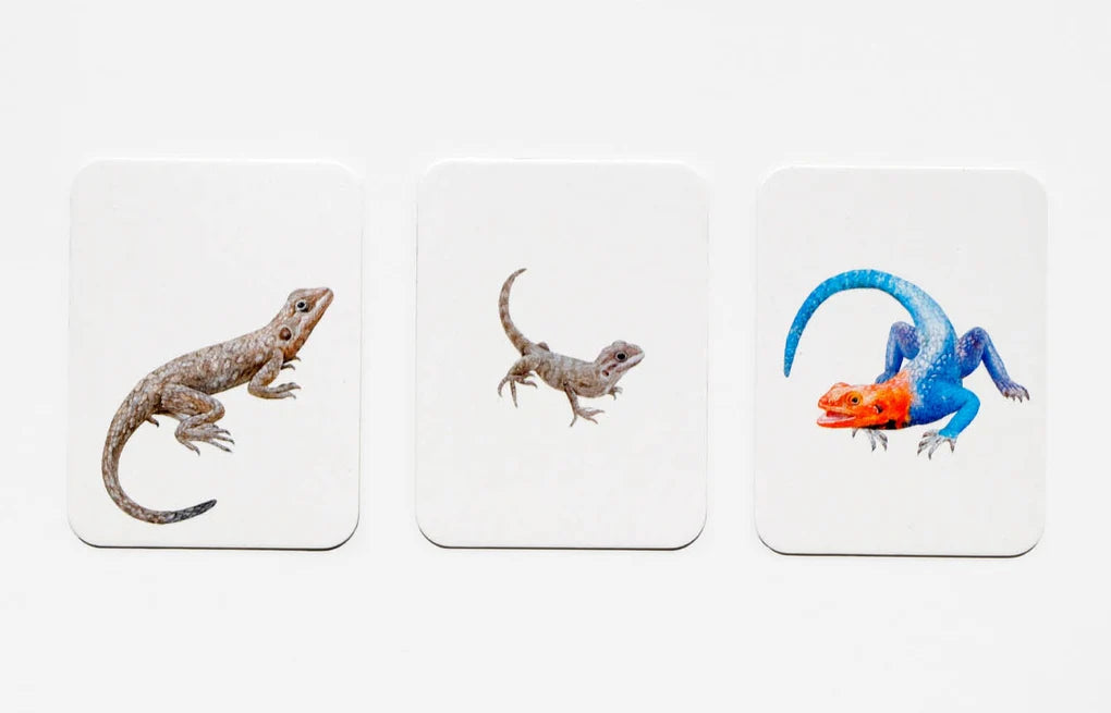 Tierfamilien-Memo Finde das Trio