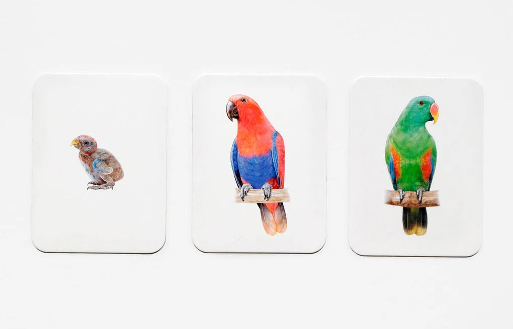 Tierfamilien-Memo Finde das Trio