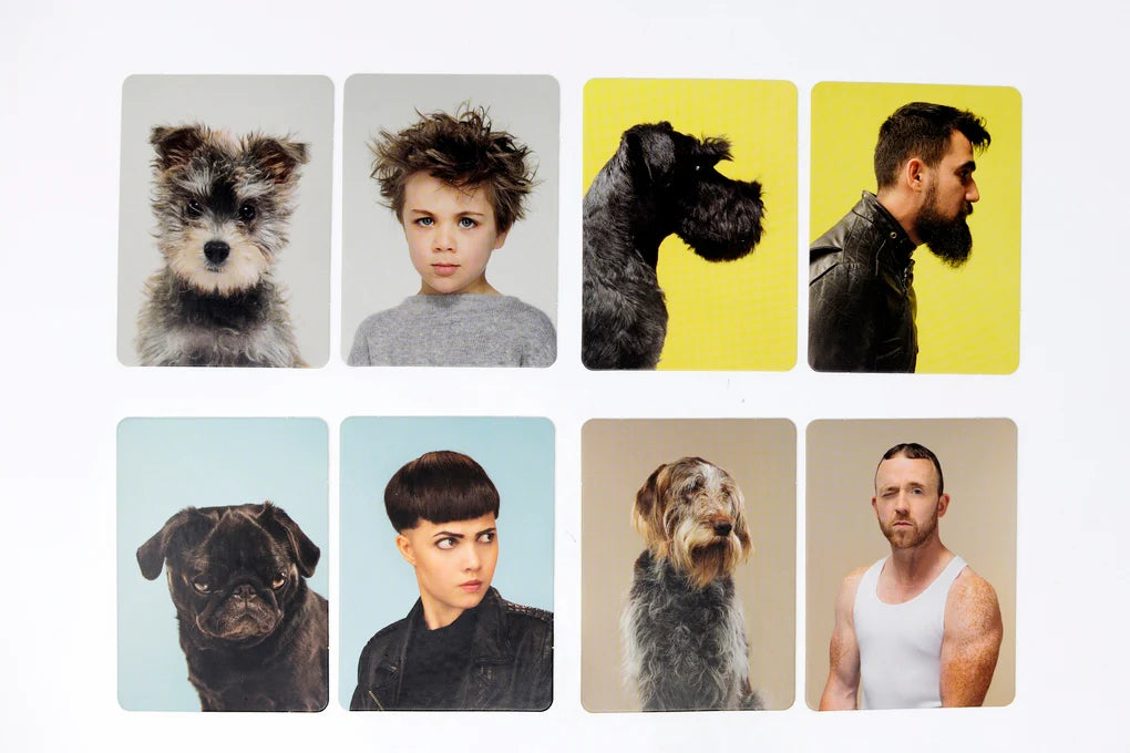 Siehst du aus wie dein Hund? - Memo-Spiel