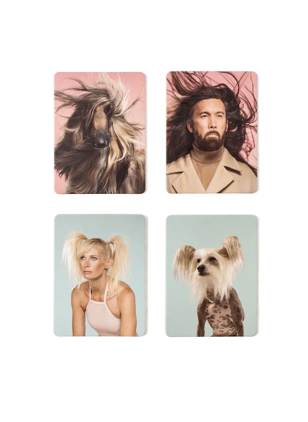 Siehst du aus wie dein Hund? - Memo-Spiel