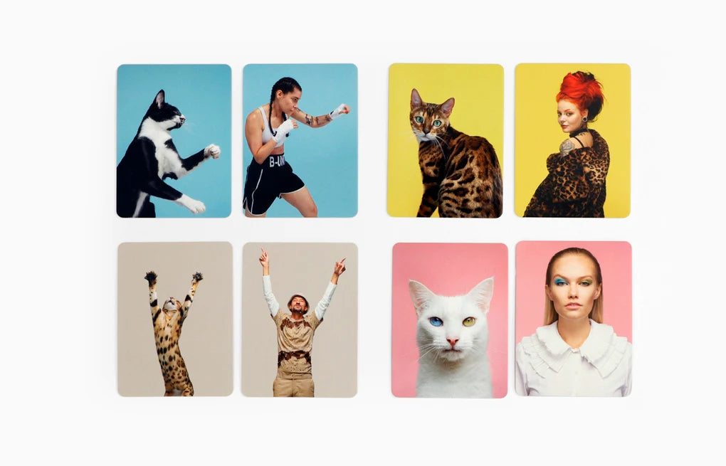 Siehst du aus wie deine Katze? - Memo-Spiel