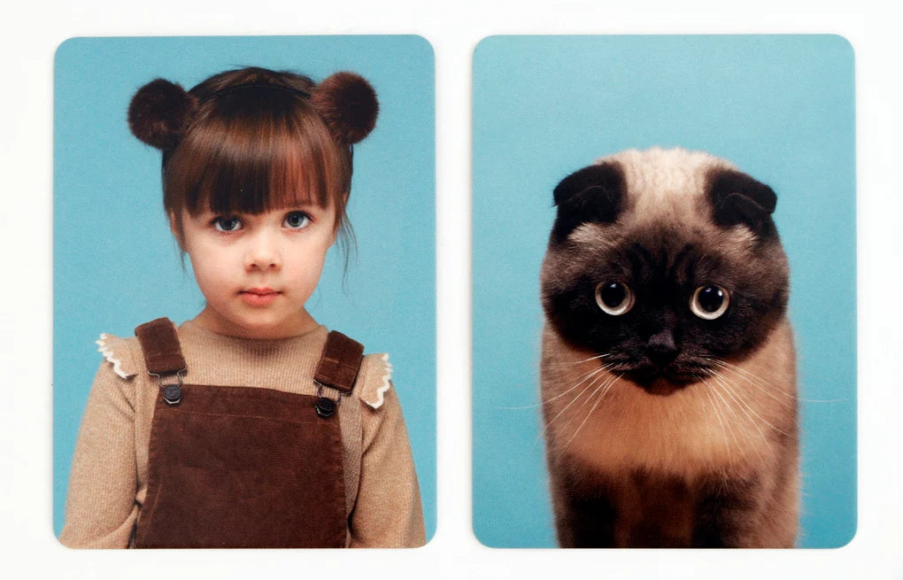 Siehst du aus wie deine Katze? - Memo-Spiel