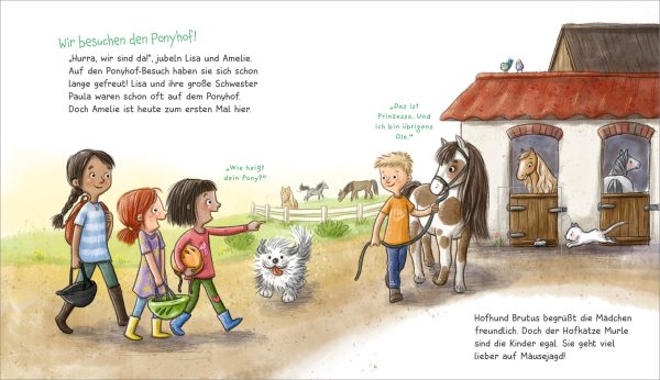 WAS IST WAS - Ich mag Ponys!