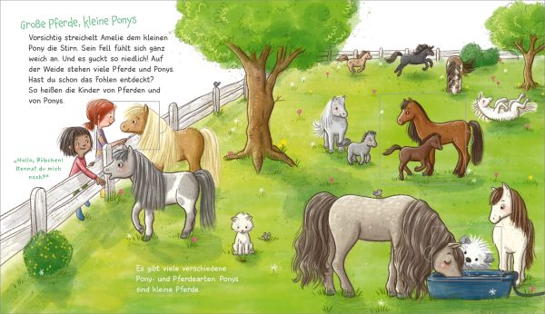 WAS IST WAS - Ich mag Ponys!