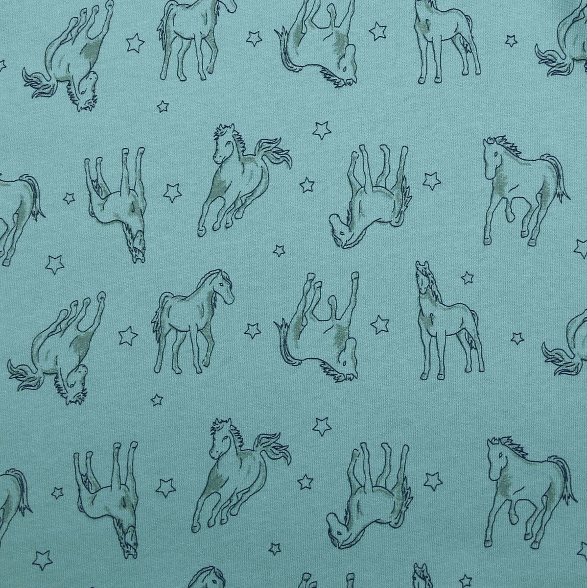 Hoodie Sweatshirt mit Pferdedruck