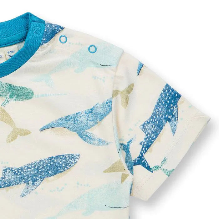 Baby T-Shirt mit Walen, Modell ANTON