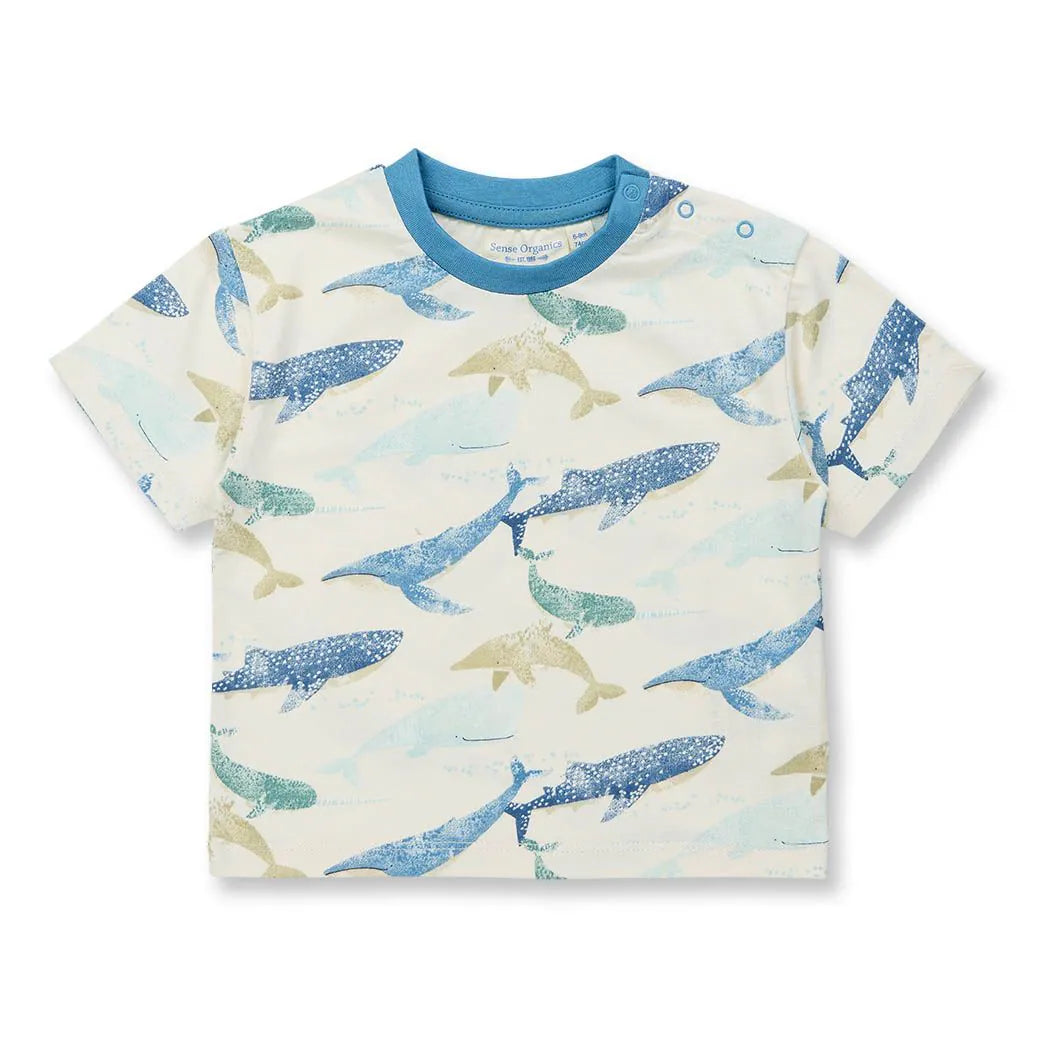 Baby T-Shirt mit Walen, Modell ANTON