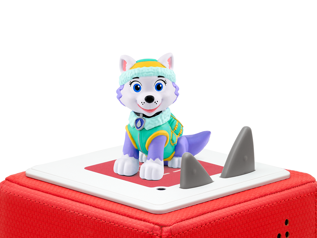 Paw Patrol - Everest