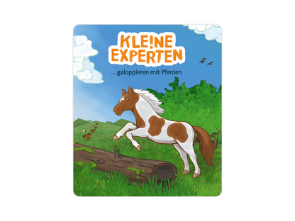 KLE!NE EXPERTEN ... galoppieren mit Pferden