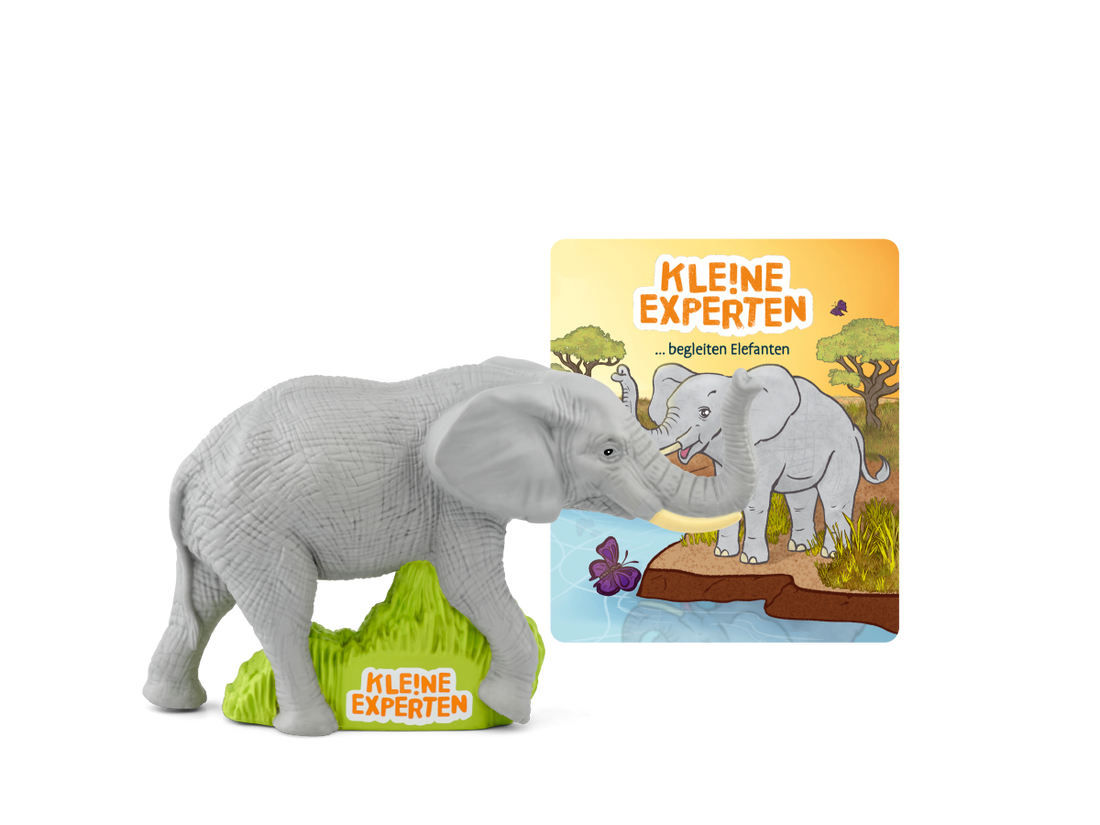 KLE!NE EXPERTEN ...begleiten Elefanten