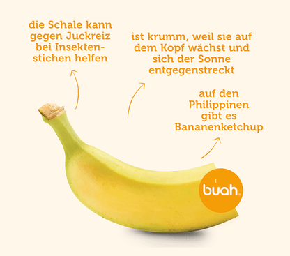 BIO Banane pur