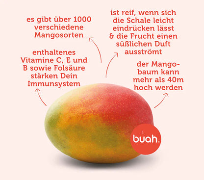 BIO Mango pur