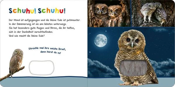Hör mal rein, wer kann das sein? Tiere in der Nacht