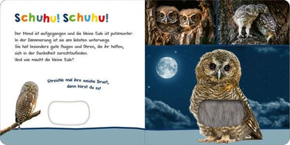 Hör mal rein, wer kann das sein? Tiere in der Nacht