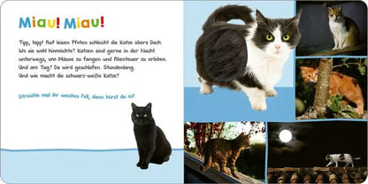 Hör mal rein, wer kann das sein? Tiere in der Nacht