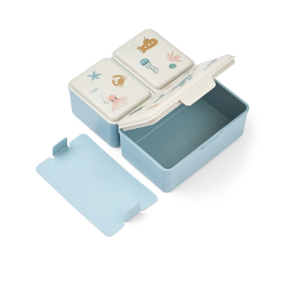 Brotbox  - Driss Lunchbox