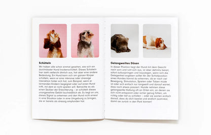 Hundesprache: Verstehst du deinen Hund? - Memo-Spiel