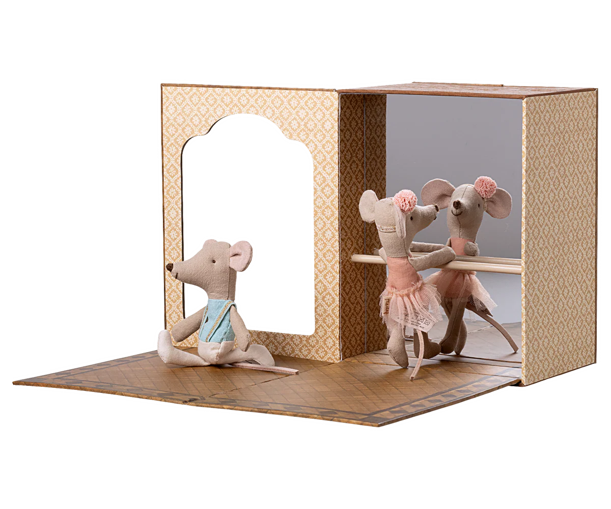 Ballettmäuse im Tanzstudio, Kleine Schwester und kleiner Bruder