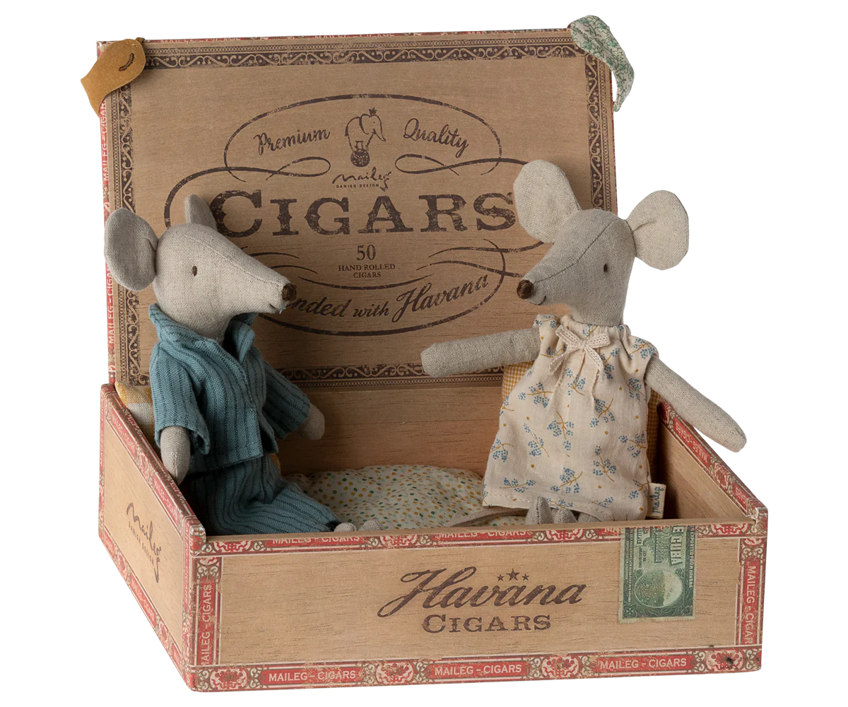 Mama- und Papamaus in der Zigarrenkiste