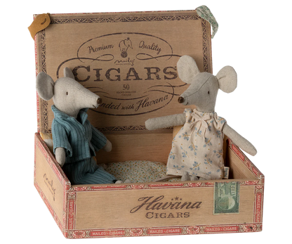 Mama- und Papamaus in der Zigarrenkiste
