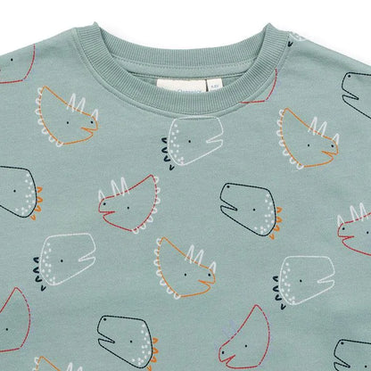Kinder Sweatshirt mit Dino DARI