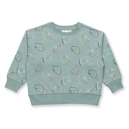 Kinder Sweatshirt mit Dino DARI